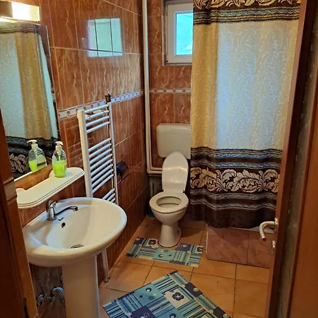 Pensiunea Floriana Hotel Băile Herculane